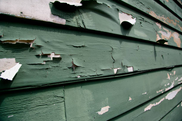 Best Hoarding Cleanup  in Tri City, OR